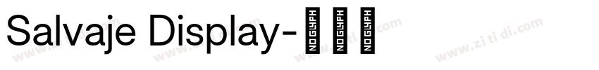 Salvaje Display字体转换 Salvaje Display字体转换